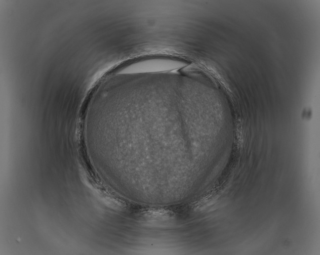 X0000088890583200707061434