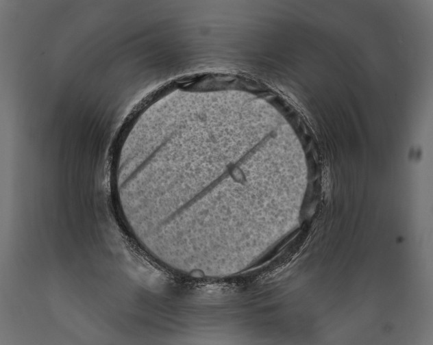 X0000088890584200707061434