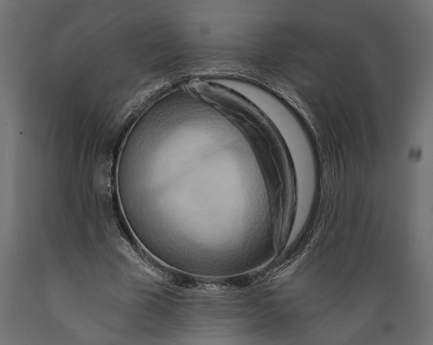 X0000088890585200707061434