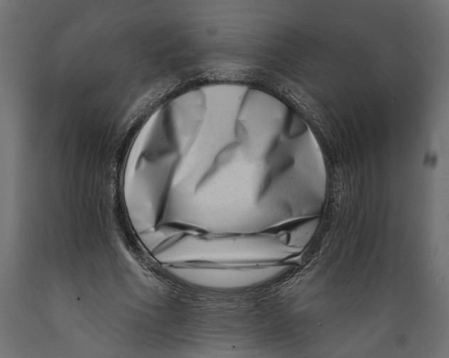 X0000088890586200707061434