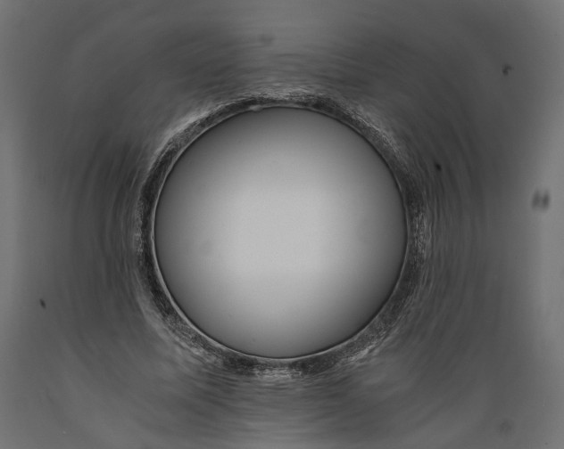 X0000088890587200707061434