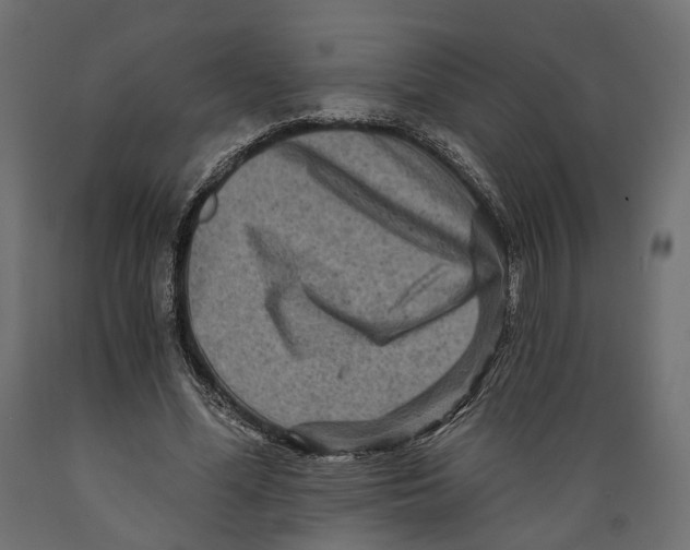 X0000088890588200707061434