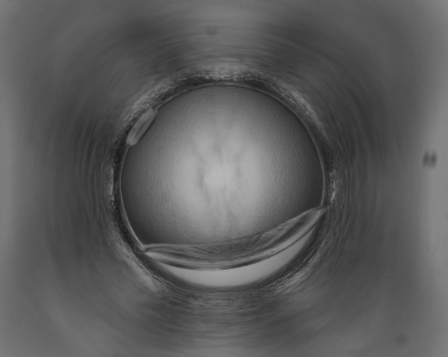 X0000088890589200707061434