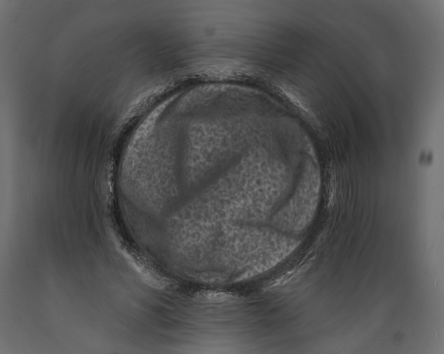 X0000088890590200707061434