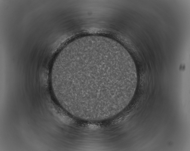X0000088890592200707061434