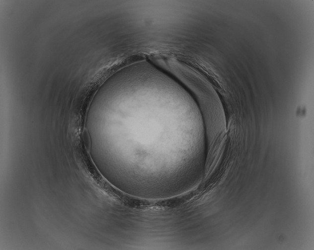 X0000088890593200707061434