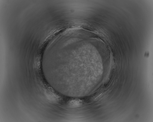 X0000088890595200707061434