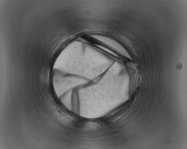 X0000088890596200707061434