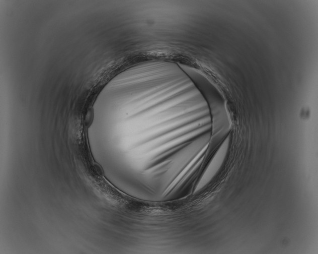 X0000088890597200707061434
