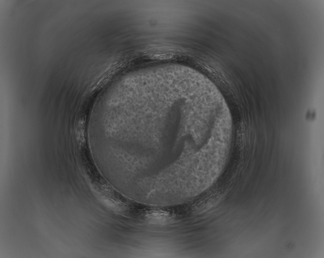 X0000088890598200707061434