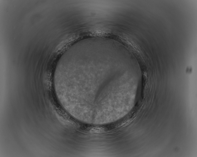 X0000088890599200707061434