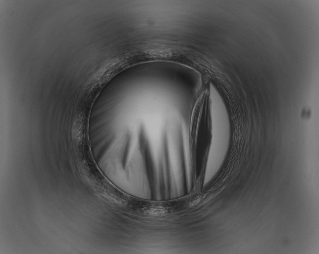 X0000088890600200707061434