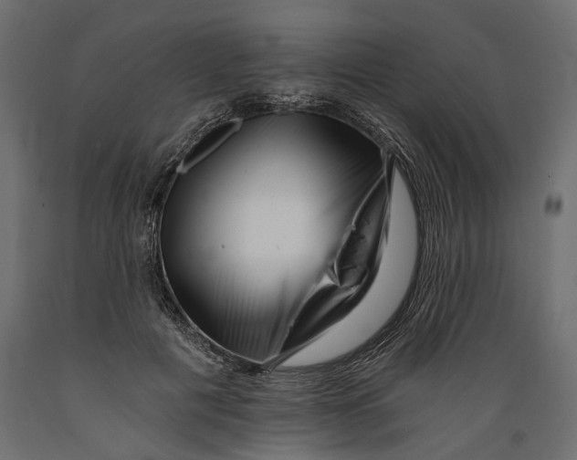 X0000088890601200707061434
