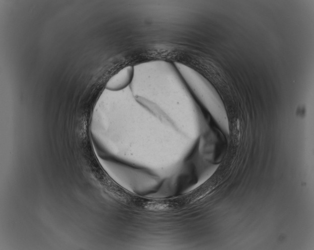 X0000088890602200707061433