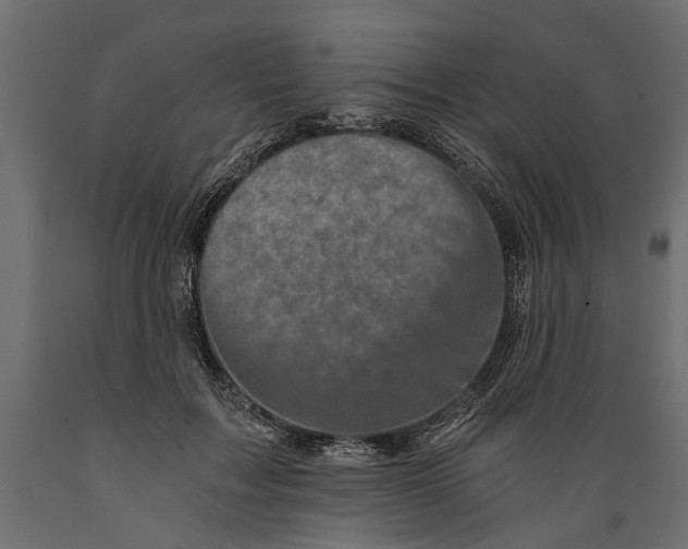 X0000088890603200707061433
