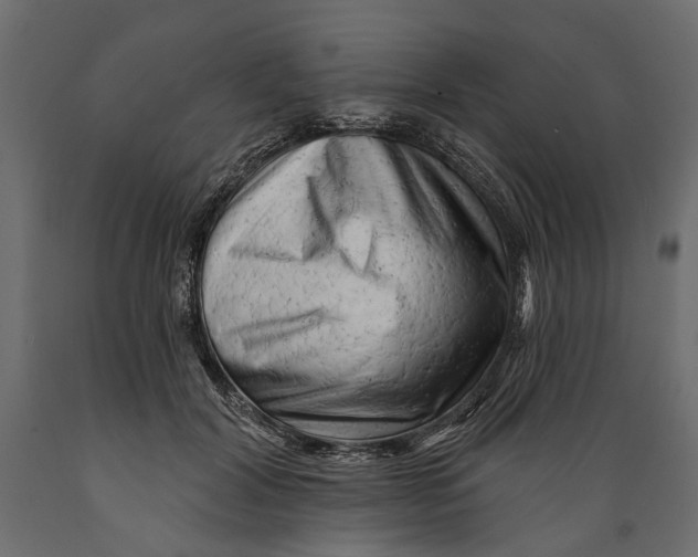 X0000088890604200707061433