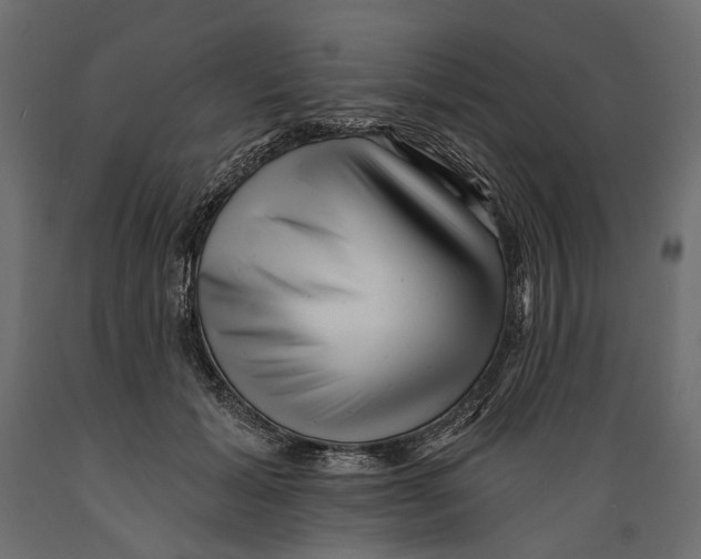 X0000088890605200707061433