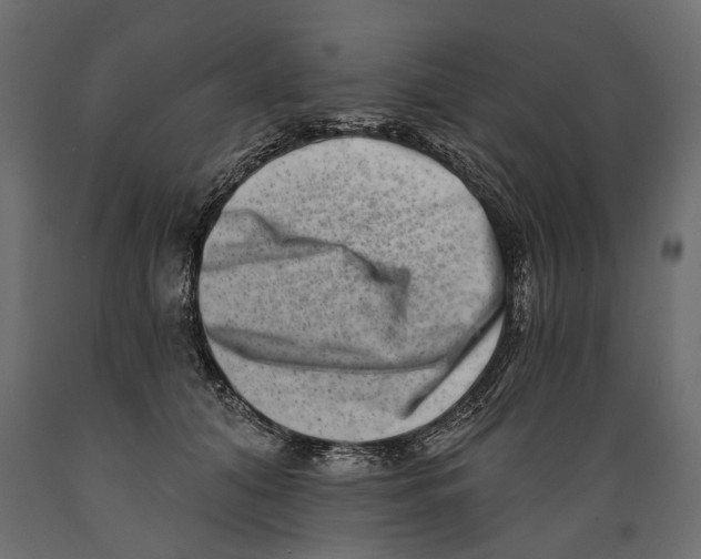 X0000088890608200707061433