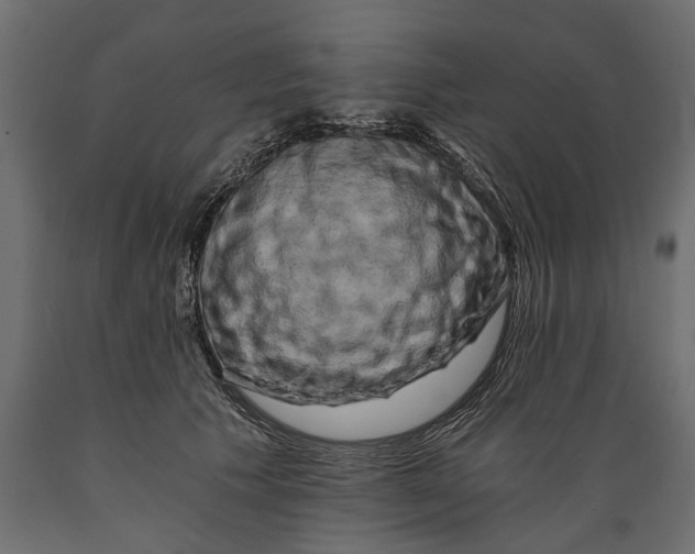 X0000088890609200707061433