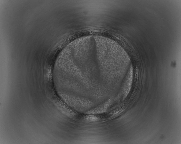 X0000088890610200707061433