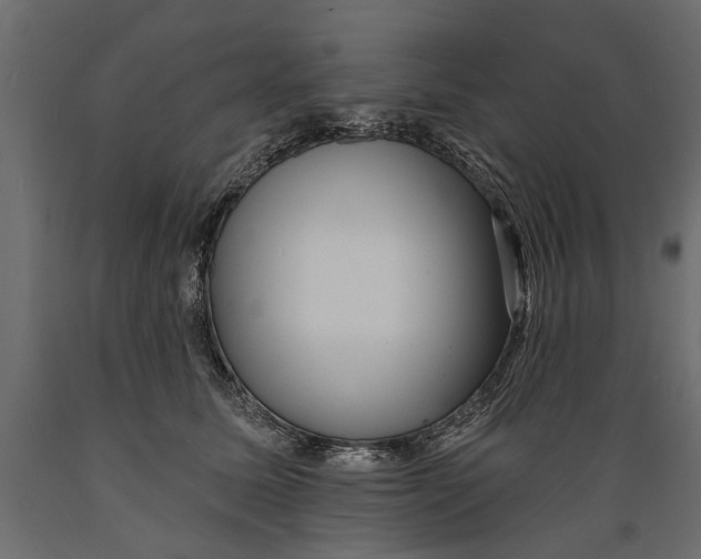 X0000088890611200707061433
