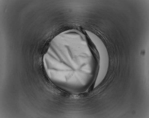 X0000088890613200707061433