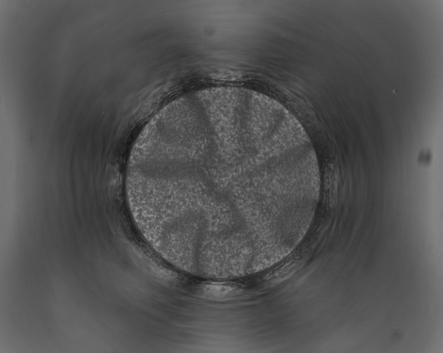 X0000088890614200707061433