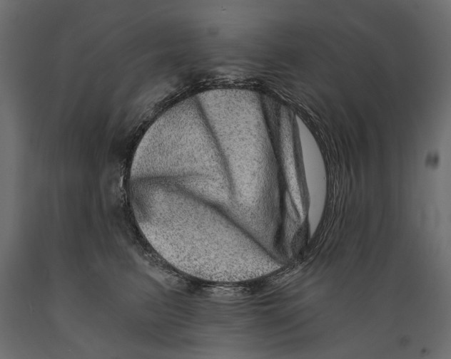 X0000088890615200707061433