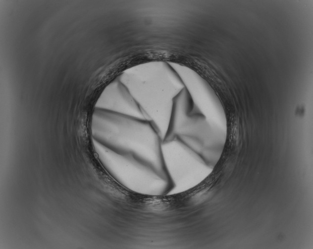 X0000088890616200707061433
