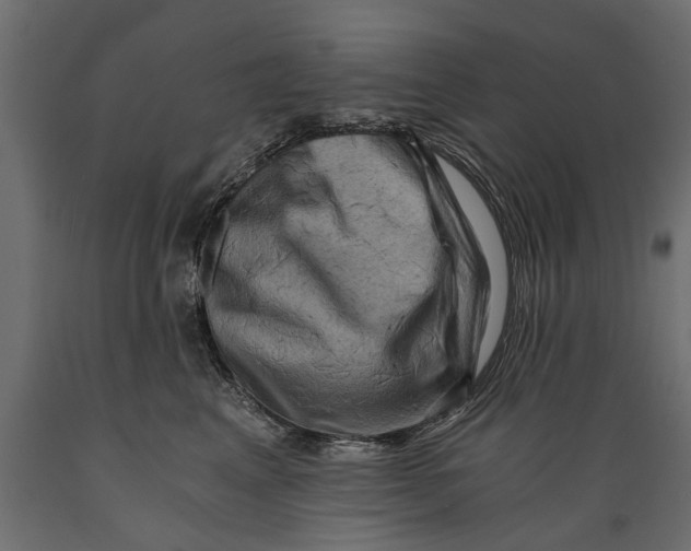 X0000088890617200707061433
