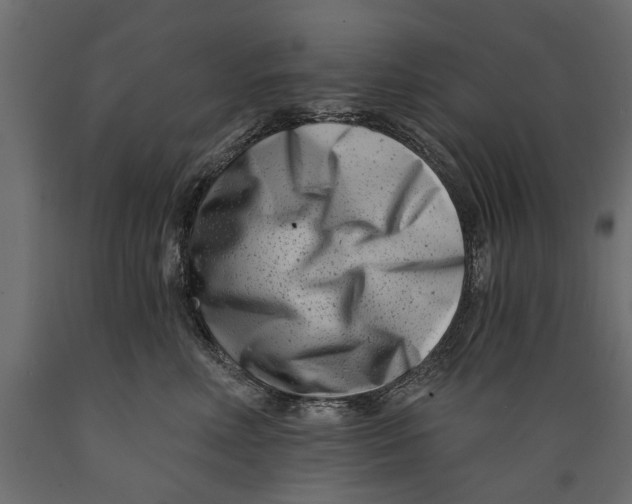 X0000088890618200707061433