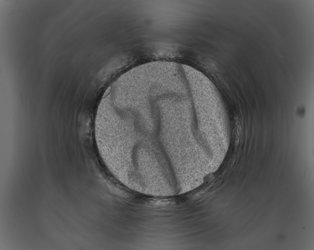 X0000088890619200707061433