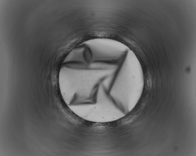 X0000088890620200707061433