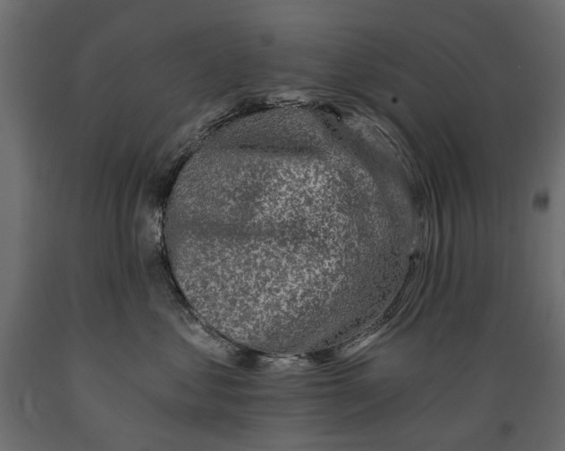 X0000088890621200707061433