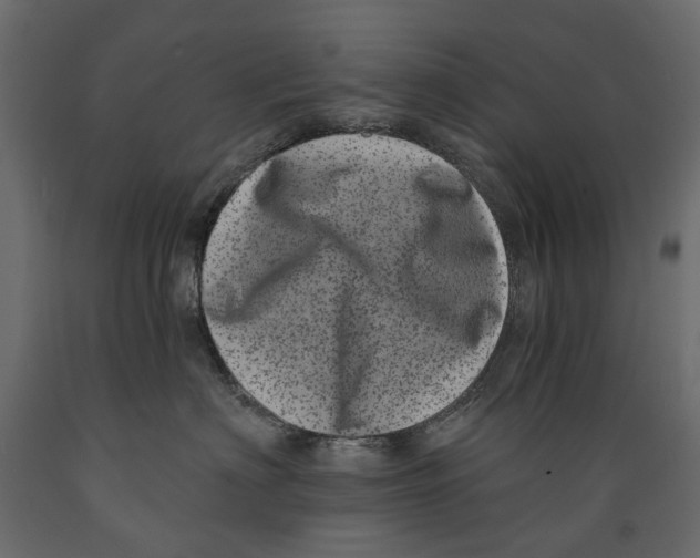 X0000088890622200707061433
