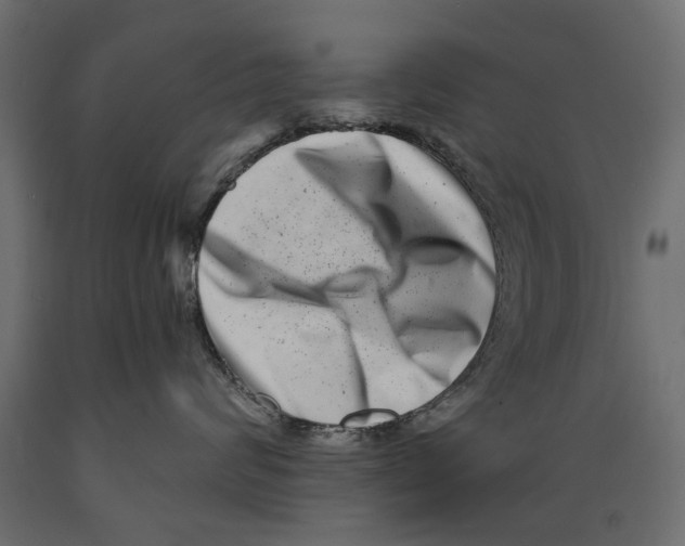 X0000088890624200707061433