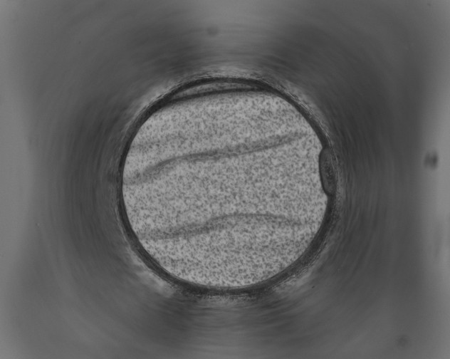 X0000088890625200707061433
