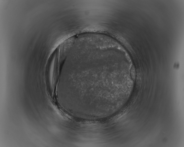 X0000088890626200707061433