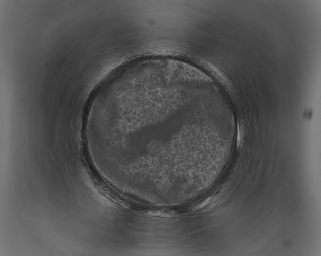 X0000088890627200707061433
