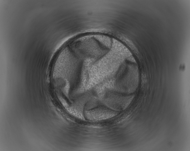 X0000088890628200707061433