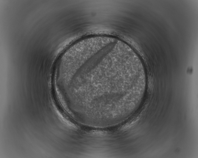 X0000088890629200707061433