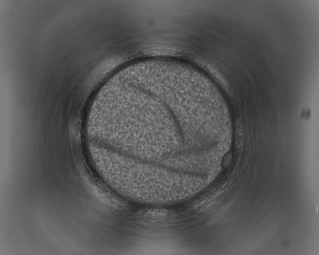 X0000088890631200707061433