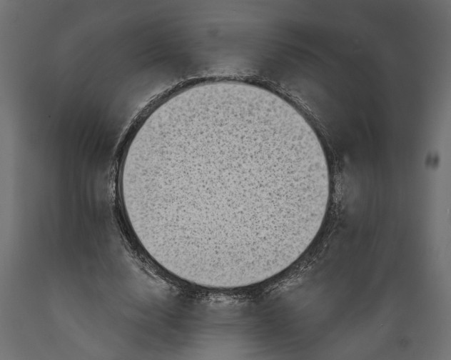 X0000088890632200707061433
