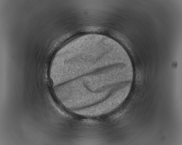 X0000088890633200707061433