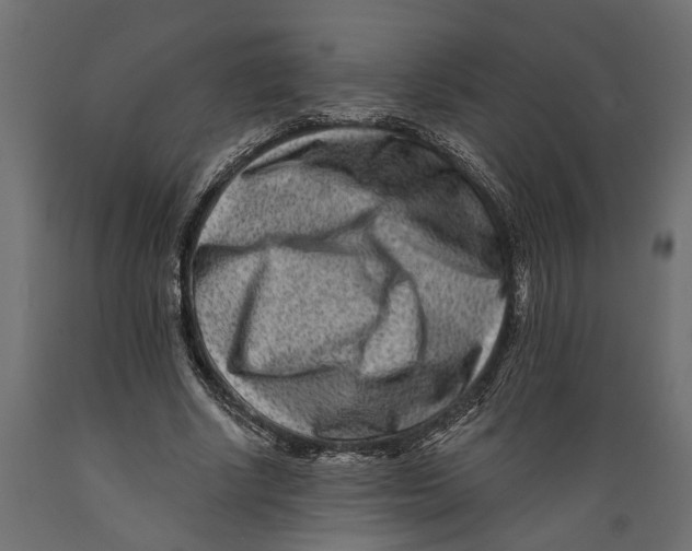 X0000088890634200707061433