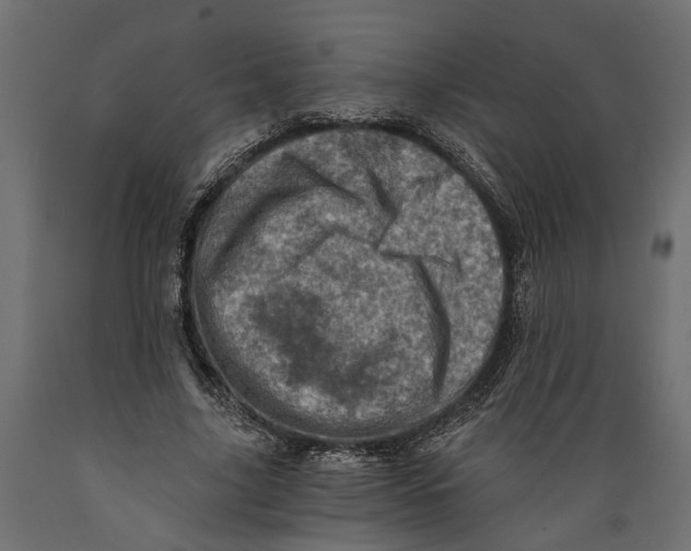 X0000088890635200707061433