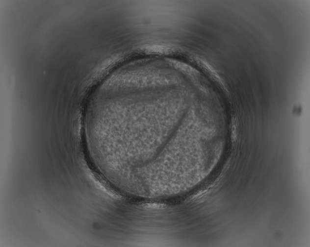 X0000088890637200707061433