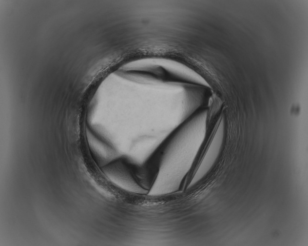 X0000088890638200707061433