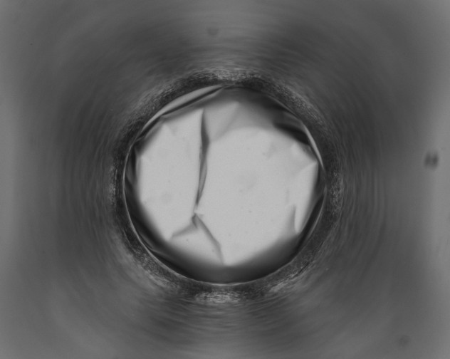 X0000088890639200707061433