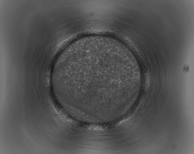 X0000088890640200707061433